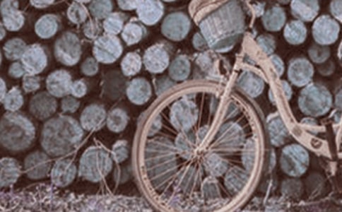 �W(xu��)�T�_̤܇��������300��