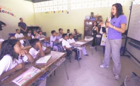 ���g�̌W�����B͸�Ļ���;��