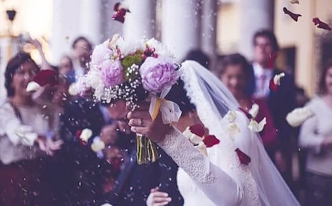 �Y��c�����v��