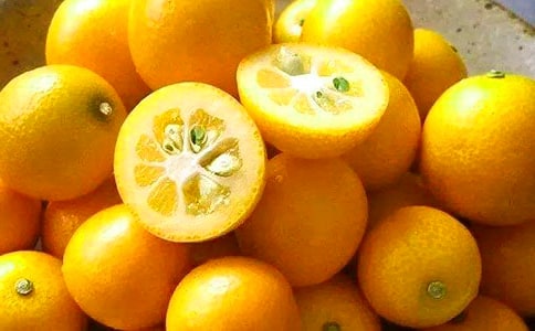 �Ґ۹��l(xi��ng)�Ľ������