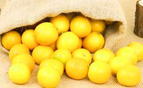 描寫金桔的作文(精選31篇)