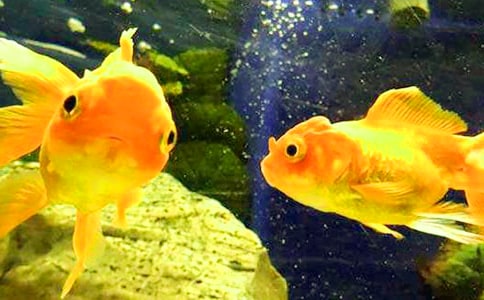 (�ϼ�)���~�^����ӛ