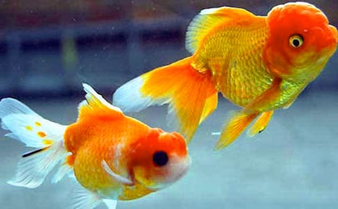 С���~(y��)����