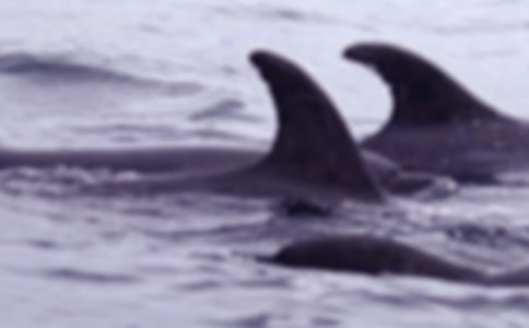 �L�~����������