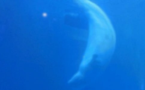 �L�~������