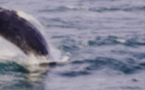 ���x�L�~������300�ֺϼ���ƪ