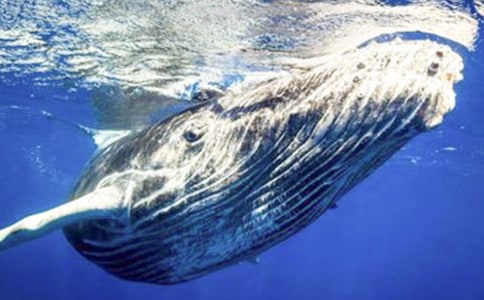 �L�~������450������