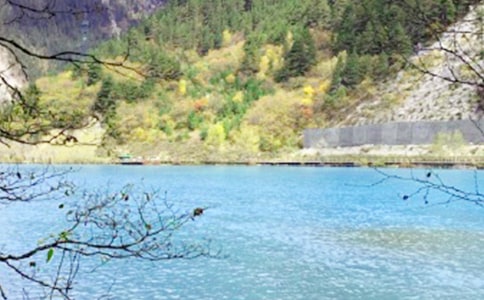 游九寨溝-游記作文 高一作文范文