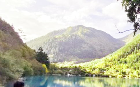 九寨溝游記作文匯編7篇