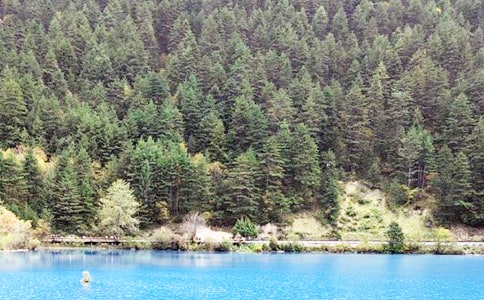 ��կ����ӛ���ă�(y��u)�x5ƪ