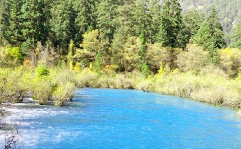 �����A����կ����ӛ����