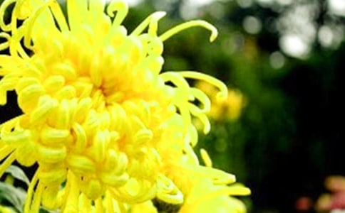 �ջ�����Ļ�������