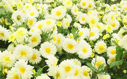 �茑����ջ�������[���A2ƪ]