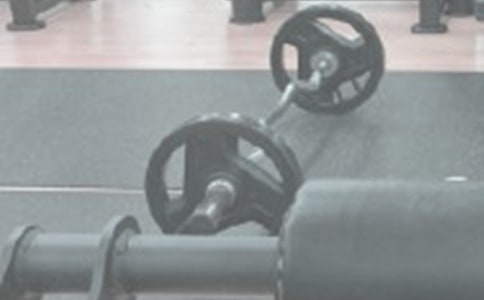 小象舉重童話作文