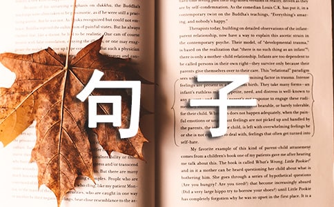 書中的經(jīng)典句子摘抄