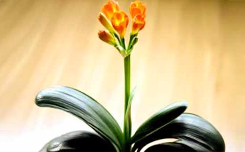 �����m����