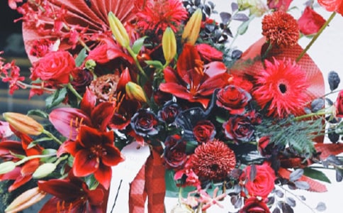 �_����ף���Z