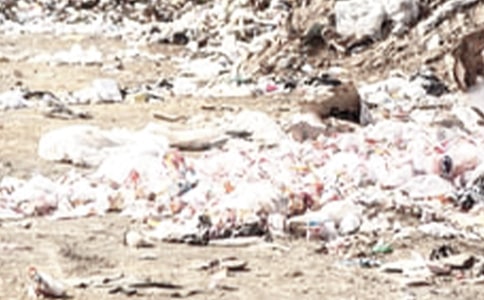 �҂��ĵ��������ĉ���(x��)�T����