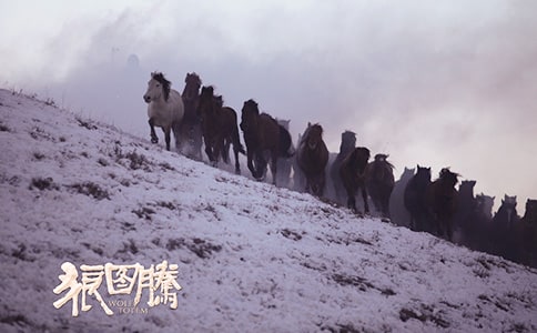 狼圖騰經(jīng)典語錄