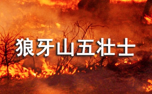 ������ɽ���ʿ���x���(���T)