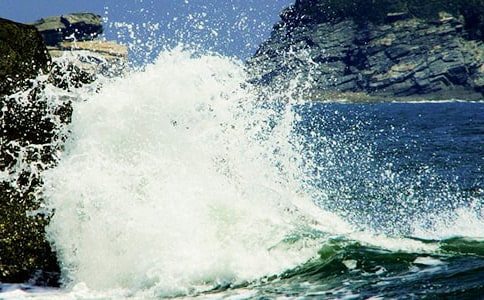 �����е�һ���˻�����(5ƪ)