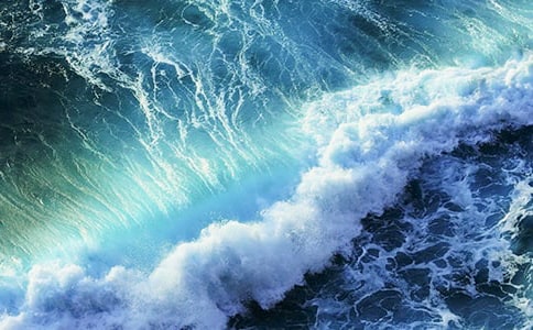 心海中的那朵浪花作文900字