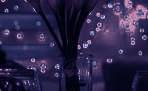 ������������_���x���