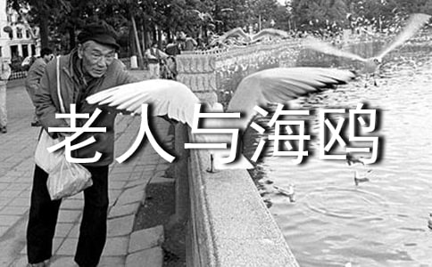 �������c���t���x���