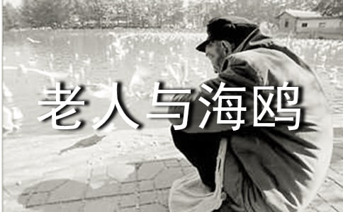 �������c���t���x���Pӛ600��