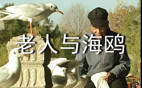 �����c���t�x��(sh��)�Pӛ