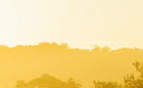 �c��������