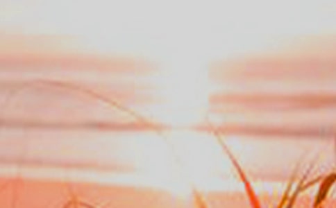 勵志成功誓言:面對黎明,我不再茫然