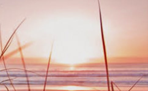 完滿的結(jié)局 黎明時(shí)刻