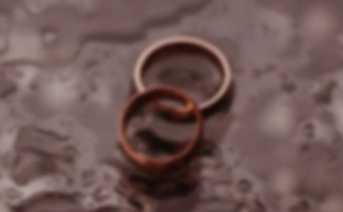 再婚離婚協(xié)議書模板