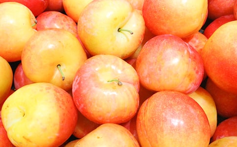 關(guān)于小班李子教案范文