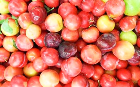 �������������800�֣����x15ƪ��