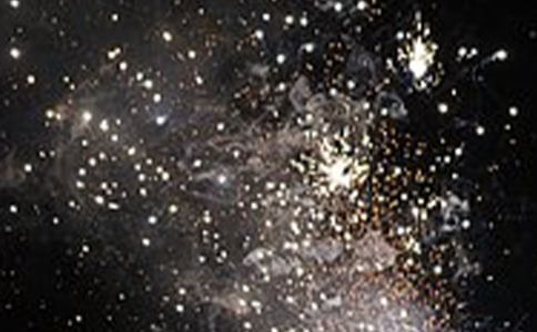 繽紛禮花慶龍年作文