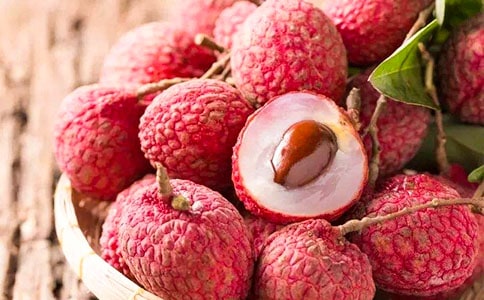 �����A���P����֦������15ƪ