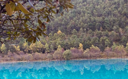 麗江古城游記作文(通用63篇)