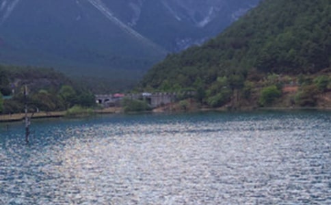 �����ų�