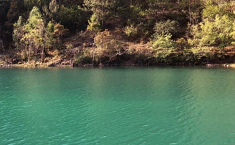 麗江游記作文(通用31篇)