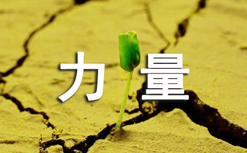 ���ŵ���������