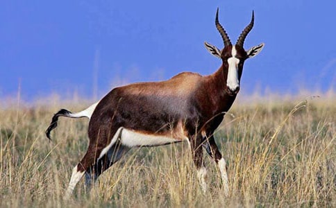 ����ľ��̌W(xu��)��˼