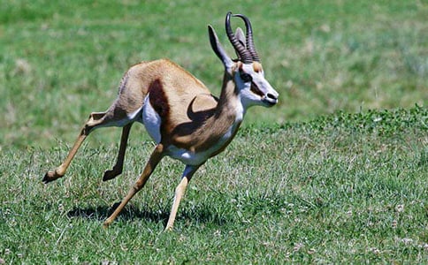 ���������x���