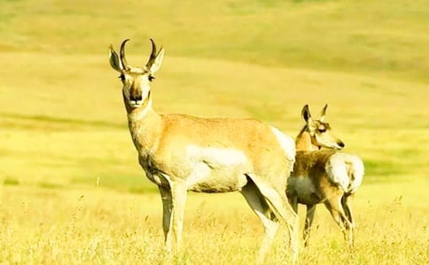 ������ľ�� �̰�