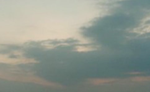 �賿�����c����������