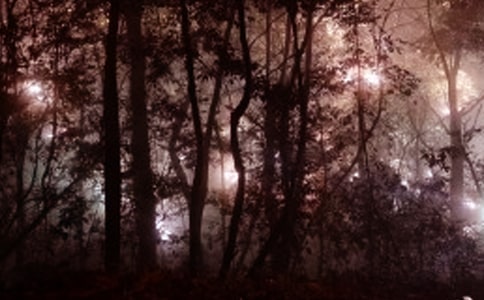 �����賿���c���x�������