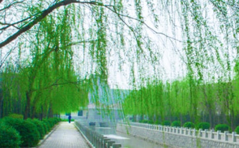 ���x���������������ƪ