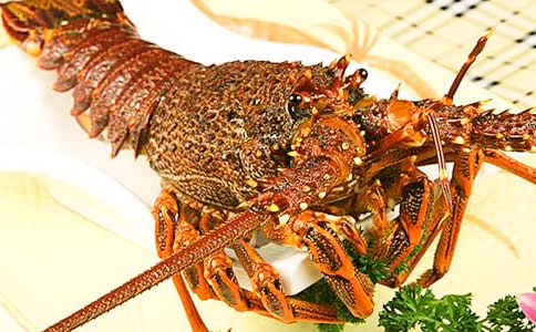 龍蝦啤酒大狂歡敘事作文