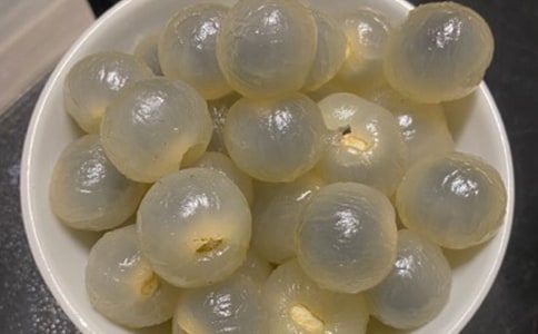 ժ��������